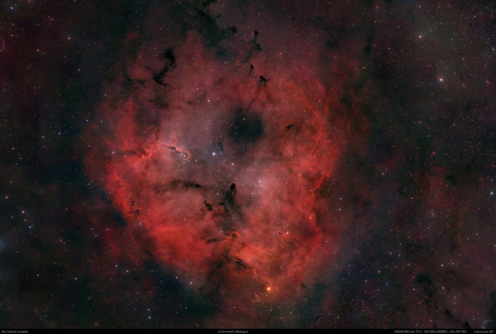 Complesso nebulare Mu Cephei – Nebulosa Proboscide in Cefeo