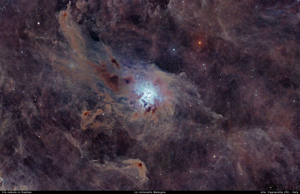 IRIS nebula in Cepheus – NGC 7023