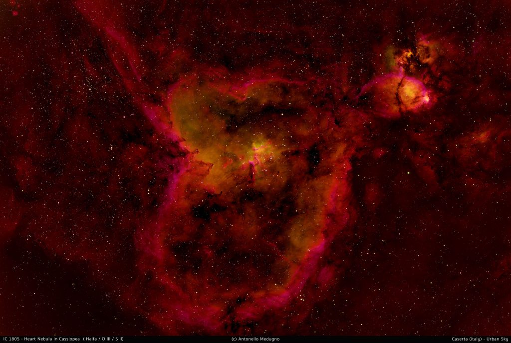 Heart nebula in Cassiopea – IC 1805